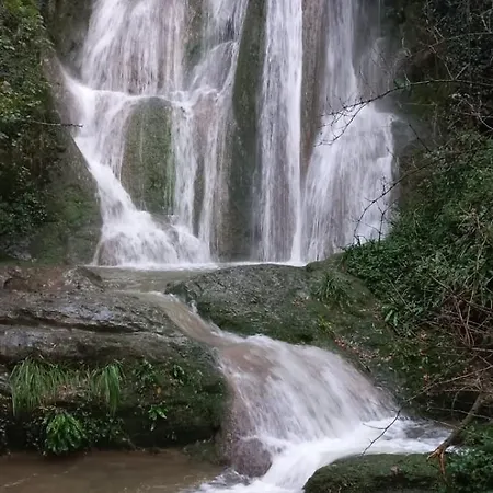 De La Rainette Revonnas